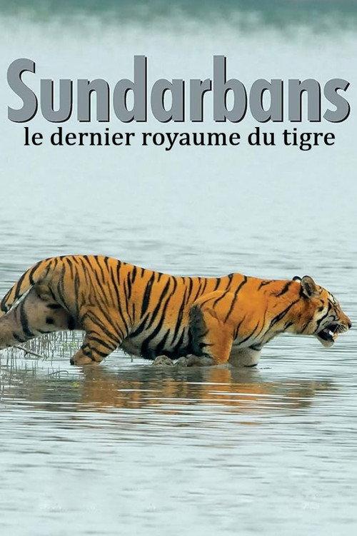 Sundarbans, le dernier royaume du tigre official movie poster