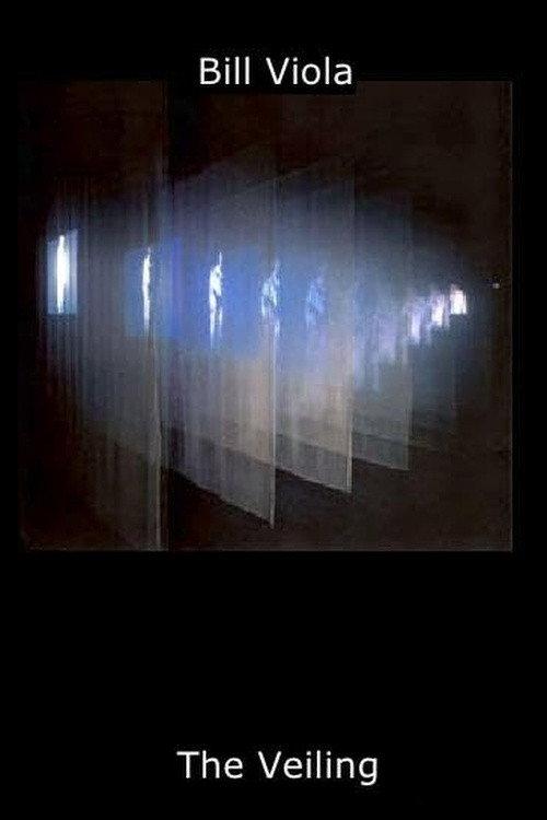 The Veiling 1995 official movie poster