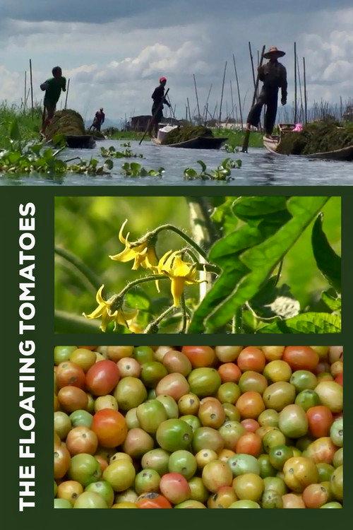 The Floating Tomatoes 2010 official movie poster
