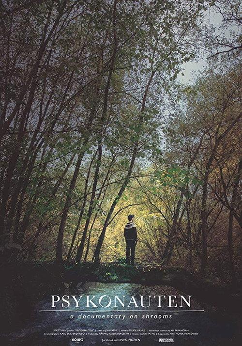 The Psychonaut 2015 official movie poster