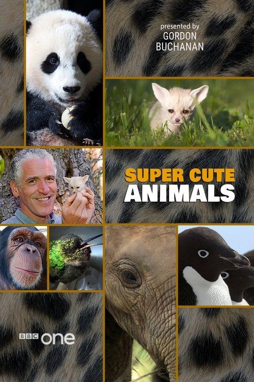 Super Cute Animals 2015 official movie poster