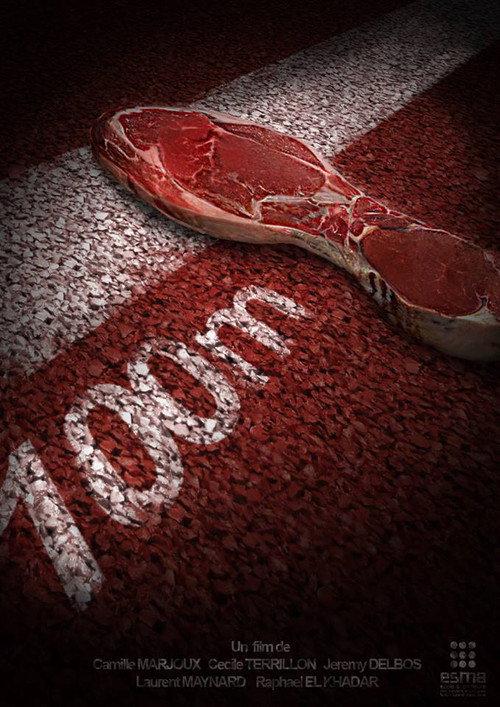 100m 2013 official movie poster