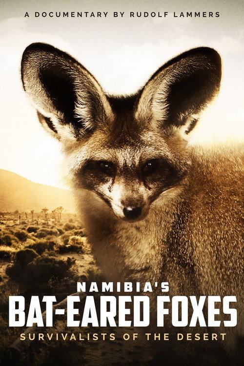 Namibia's Bat-eared Foxes: Survivalists of the Desert 2007 official movie poster