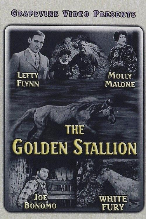 The Golden Stallion 1927 official movie poster