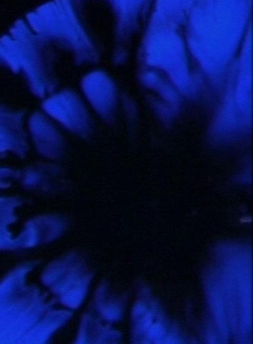 Adagio 2002 official movie poster
