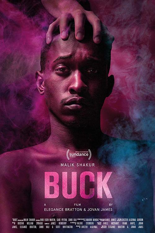 Buck 2020 official movie poster