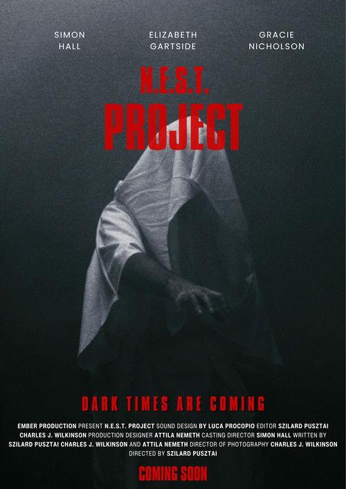 English 2027 official movie poster