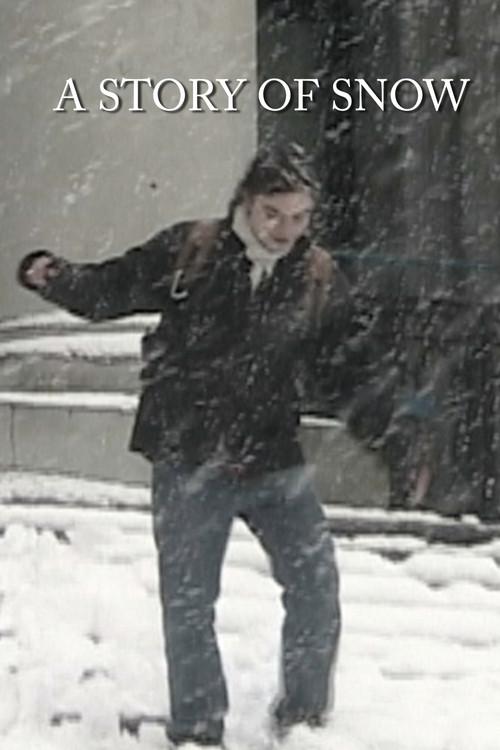 A Story of Snow 2024 official movie poster