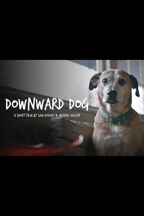 Downward Dog 2016 official movie poster