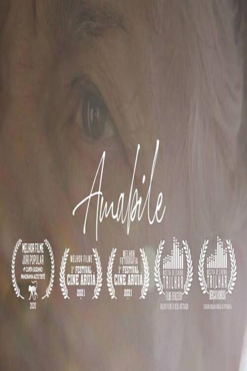 Amabile 2020 official movie poster