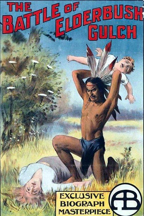 The Battle at Elderbush Gulch 1913 official movie poster