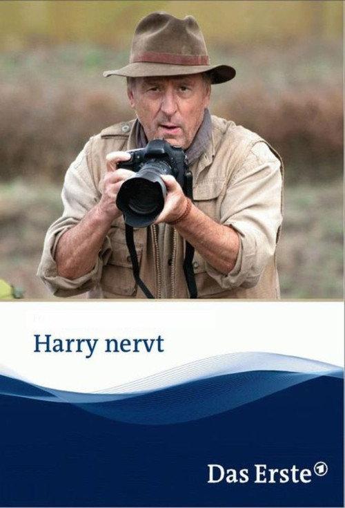 Harry nervt 2013 official movie poster