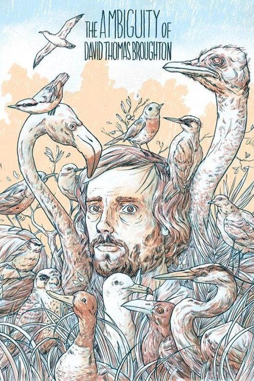 The Ambiguity of David Thomas Broughton 2015 official movie poster