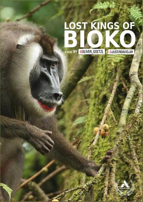 Lost Kings of Bioko 2019 official movie poster