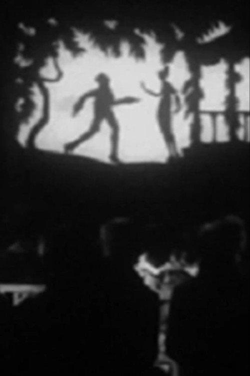 The Lost Shadow 1921 official movie poster