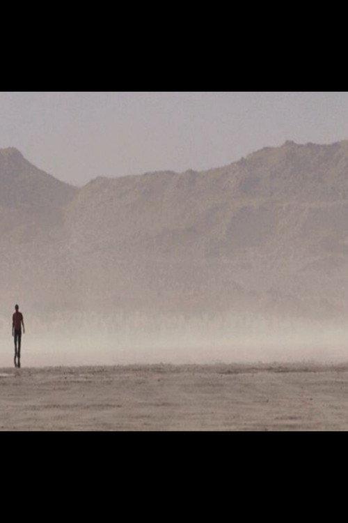Walking on the Edge 2012 official movie poster