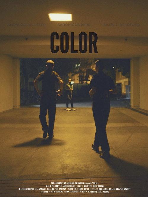 Color 2022 official movie poster