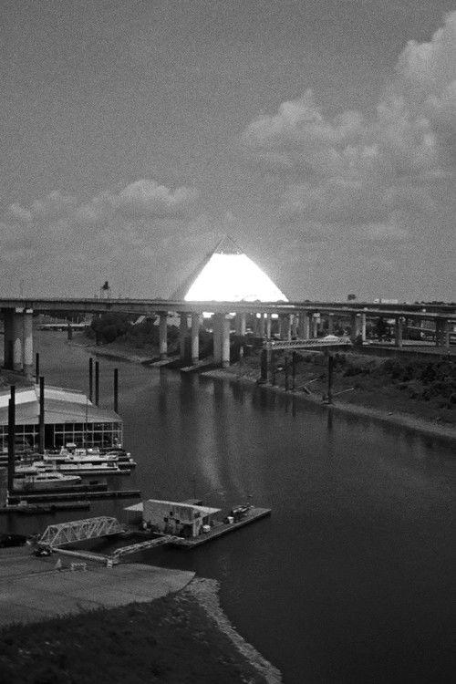 The Bluffs 2024 official movie poster