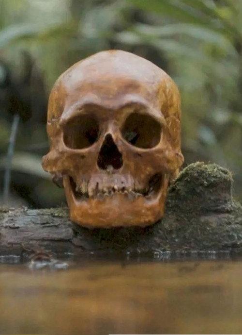 A Skull 2021 official movie poster
