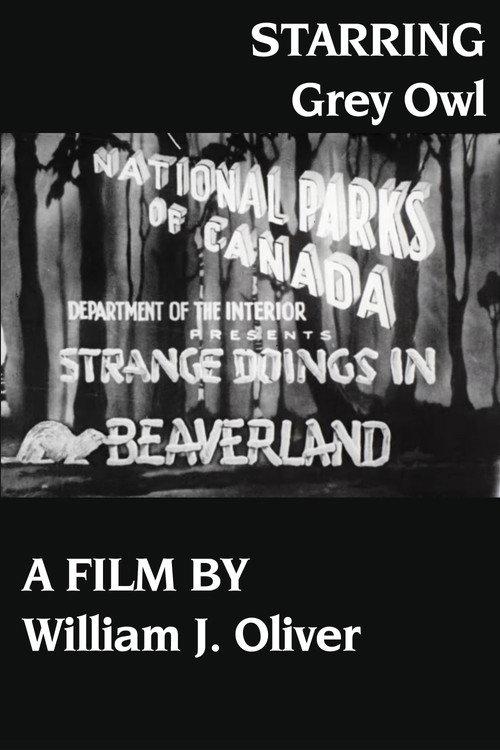 Strange Doings in Beaverland official movie poster