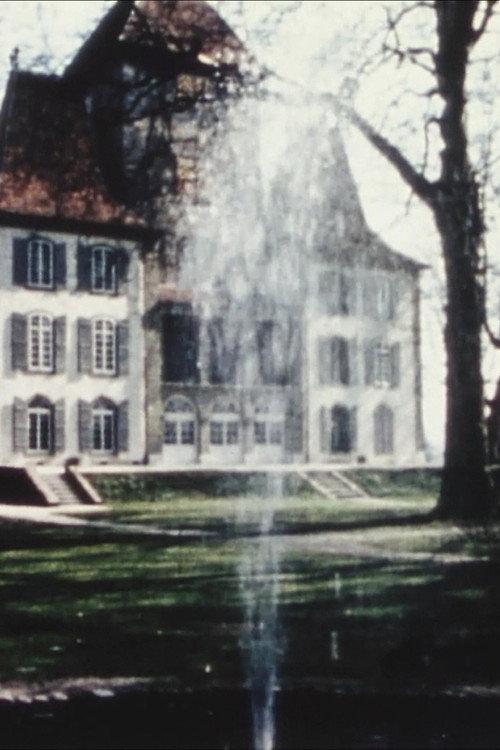 13 Bern Museums 1968 official movie poster