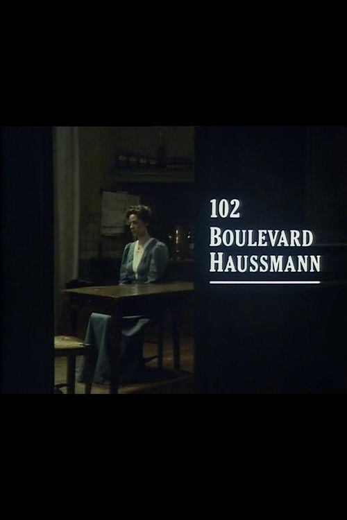 102 Boulevard Haussmann 1990 official movie poster