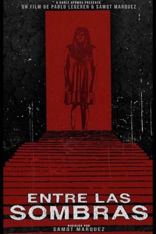 Entre las Sombras 2013 official movie poster