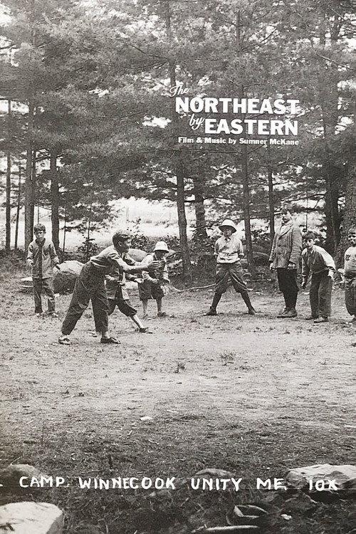 The Northeast by Eastern 2016 official movie poster