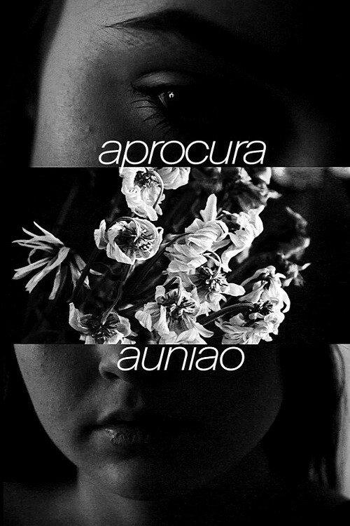 Aprocura Auniao 2023 official movie poster