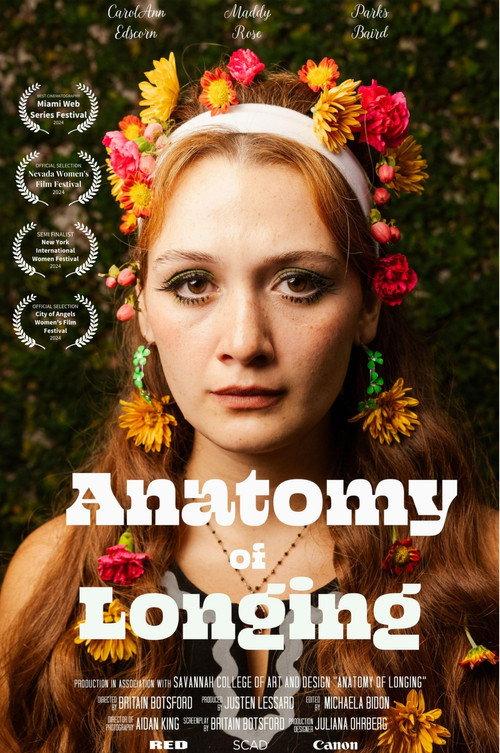 Anatomy of Longing official movie poster