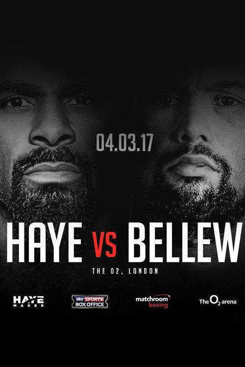 David Haye vs. Tony Bellew 2017 official movie poster