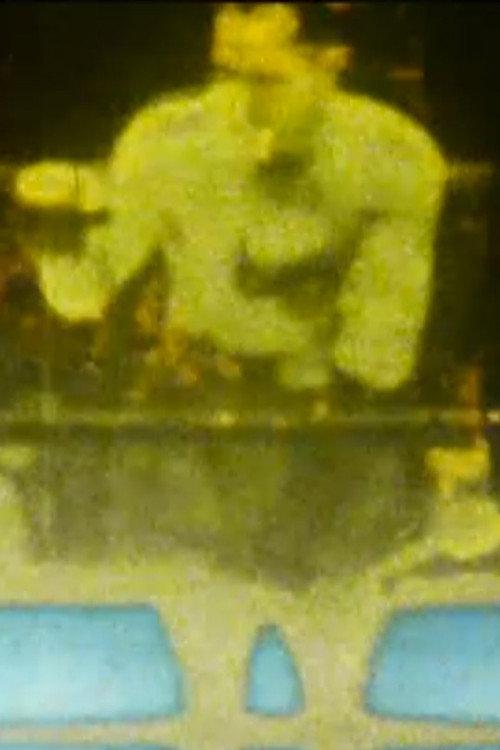 Acid Scratches 1998 official movie poster