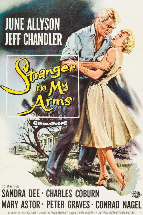 A Stranger in My Arms 1959 official movie poster