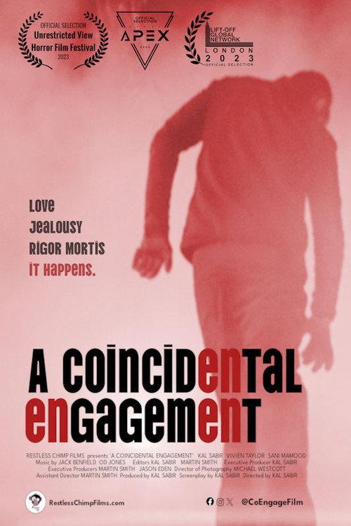 A Coincidental Engagement 2024 official movie poster