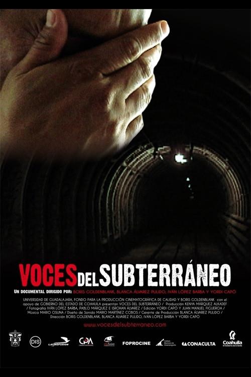 Underground Voices 2010 official movie poster