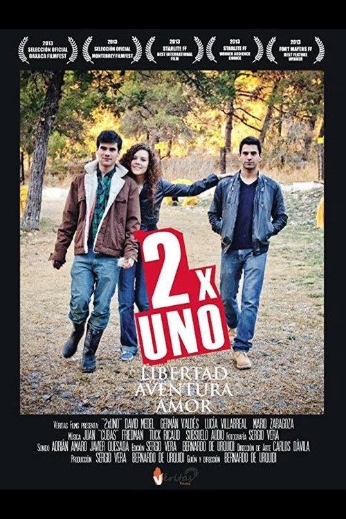 2 x One 2013 official movie poster