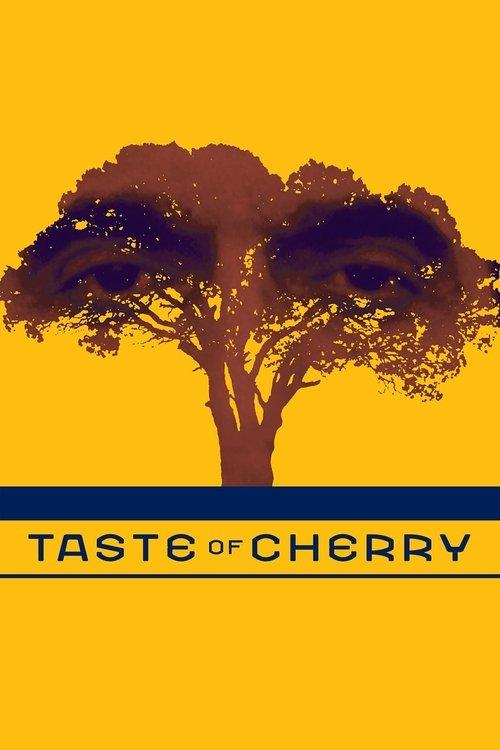 Taste of Cherry 1997 official movie poster