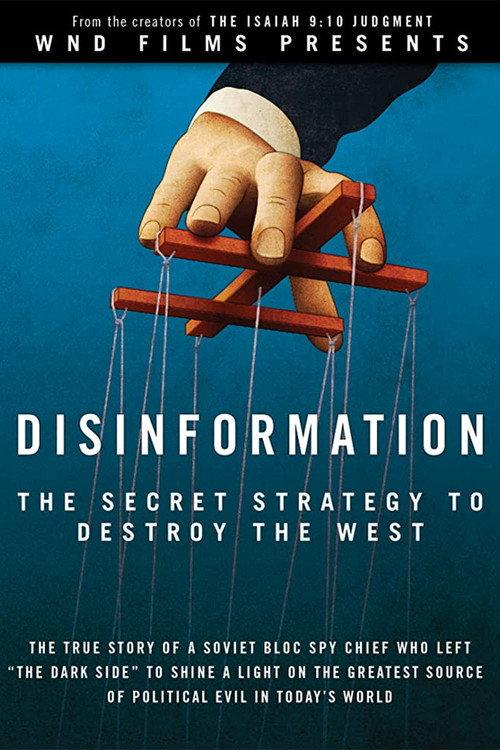 Disinformation 2013 official movie poster