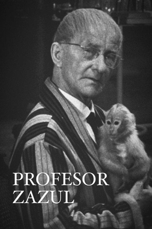 Profesor Zazul 1968 official movie poster