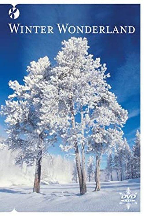 Winter Wonderland 2008 official movie poster