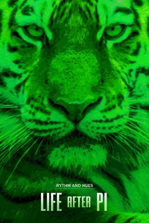 Life After Pi 2014 official movie poster