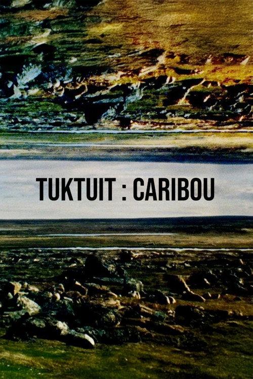 Tuktuit: Caribou 2025 official movie poster