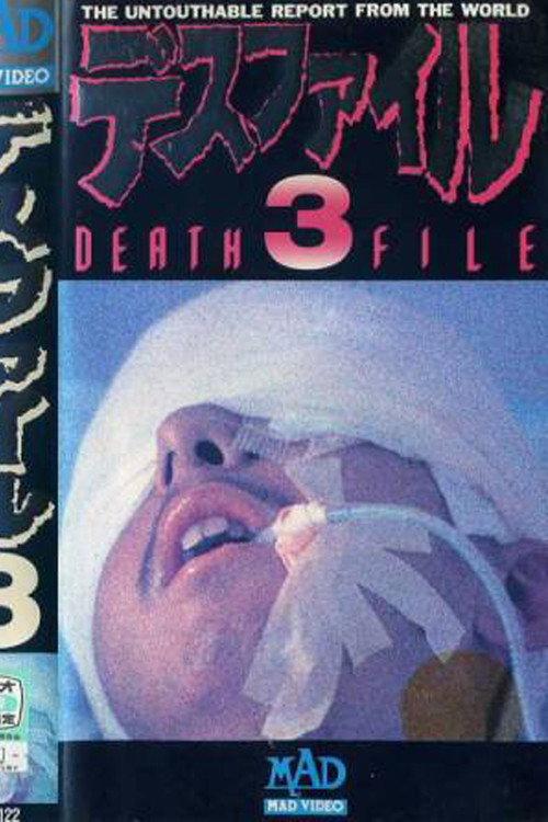 Death File 3 1989 official movie poster