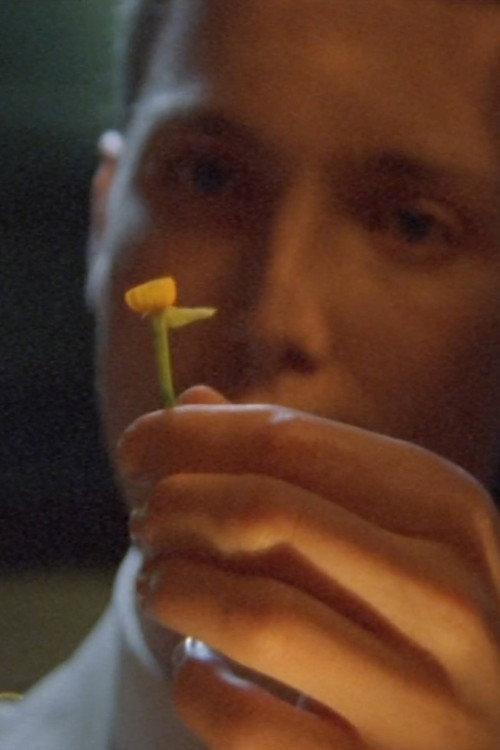 The Man Who Loved Flowers 2004 official movie poster