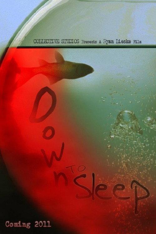 Down to Sleep 2011 official movie poster