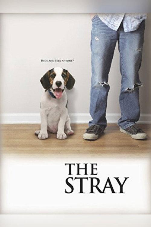 The Stray 2012 official movie poster