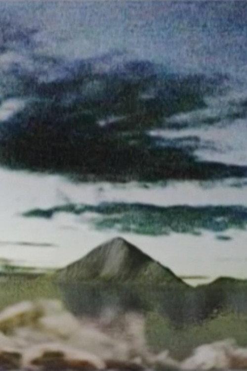 Moving Vast Amounts Of Water To A Barren Place 2004 official movie poster