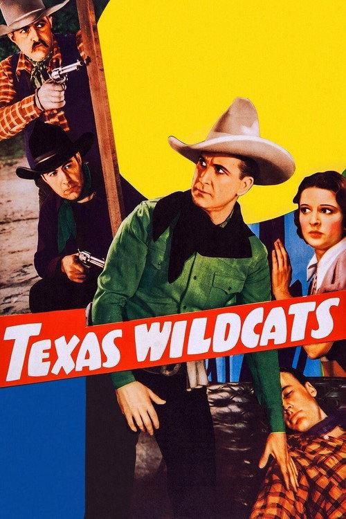 Texas Wildcats 1939 official movie poster