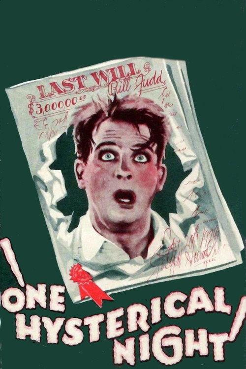One Hysterical Night 1929 official movie poster