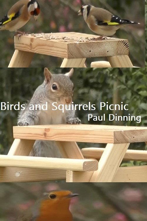 Birds and Squirrels Picnic 2023 official movie poster